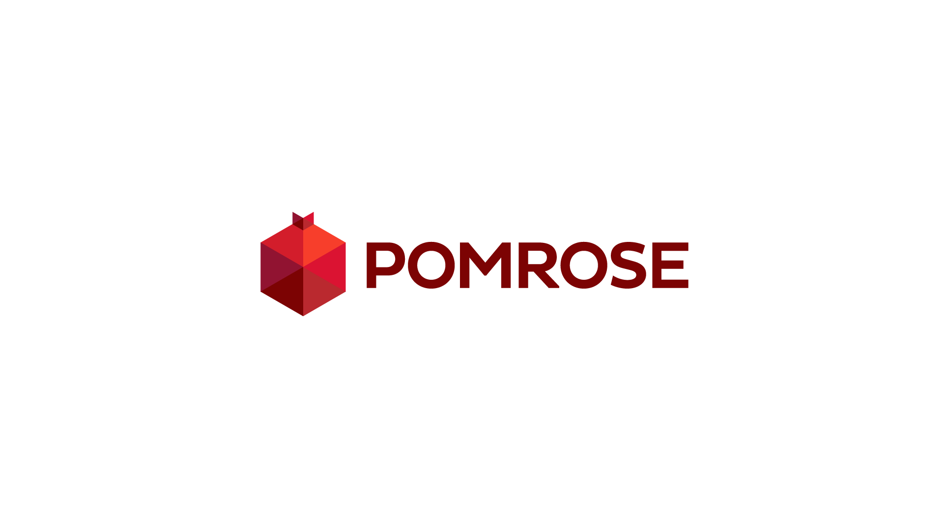 Web Development logo, low poly pomegranate fruit, symbolizing creativity and diverse solutions